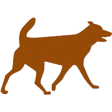 Random Dog Facts Logo